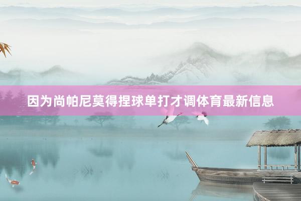 因为尚帕尼莫得捏球单打才调体育最新信息