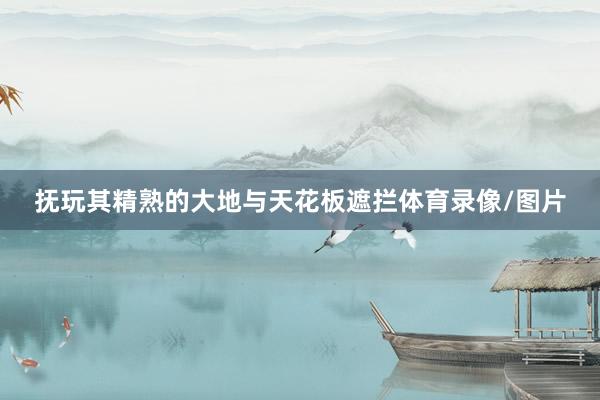 抚玩其精熟的大地与天花板遮拦体育录像/图片