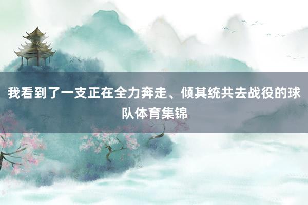 我看到了一支正在全力奔走、倾其统共去战役的球队体育集锦