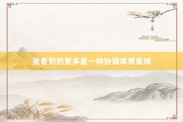 我看到的更多是一种协调体育集锦