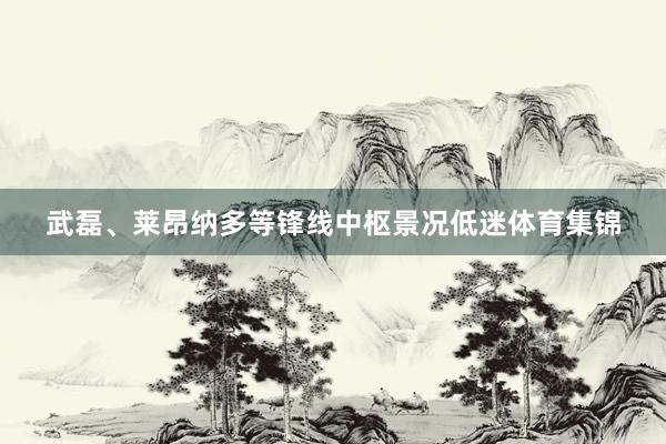 武磊、莱昂纳多等锋线中枢景况低迷体育集锦