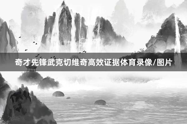 奇才先锋武克切维奇高效证据体育录像/图片