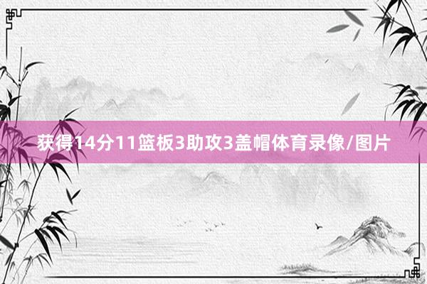 获得14分11篮板3助攻3盖帽体育录像/图片