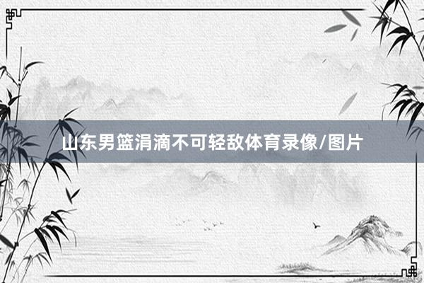 山东男篮涓滴不可轻敌体育录像/图片