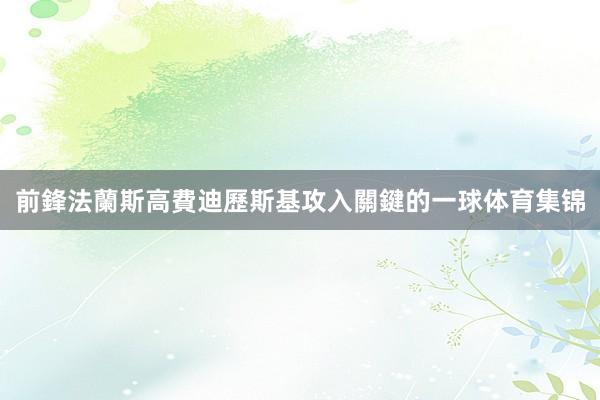 前鋒法蘭斯高費迪歷斯基攻入關鍵的一球体育集锦