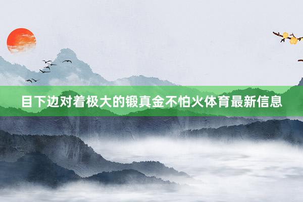 目下边对着极大的锻真金不怕火体育最新信息
