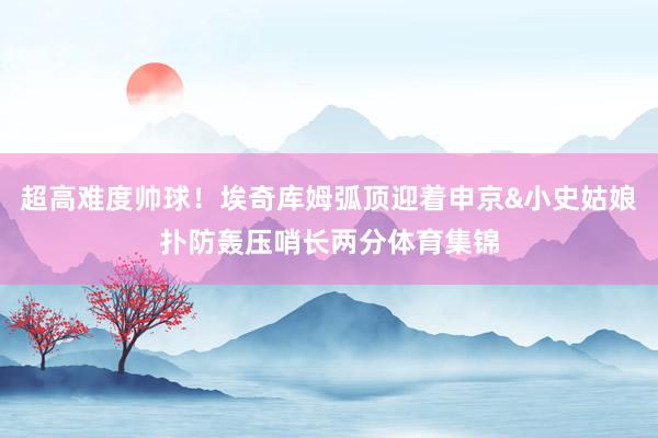 超高难度帅球！埃奇库姆弧顶迎着申京&小史姑娘扑防轰压哨长两分体育集锦