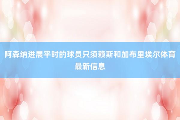 阿森纳进展平时的球员只须赖斯和加布里埃尔体育最新信息