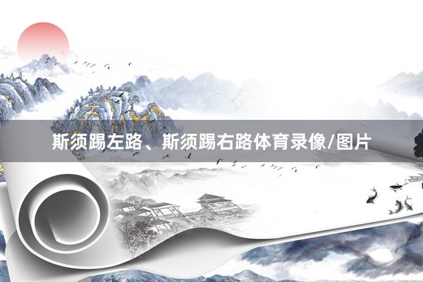 斯须踢左路、斯须踢右路体育录像/图片