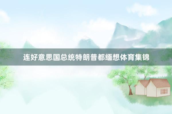 连好意思国总统特朗普都缅想体育集锦