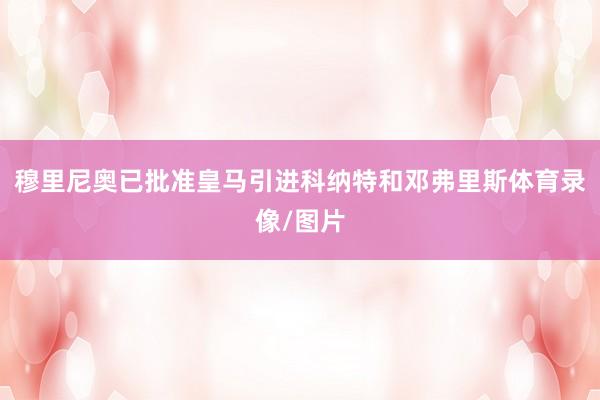 穆里尼奥已批准皇马引进科纳特和邓弗里斯体育录像/图片