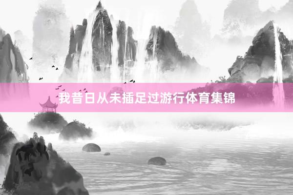 我昔日从未插足过游行体育集锦