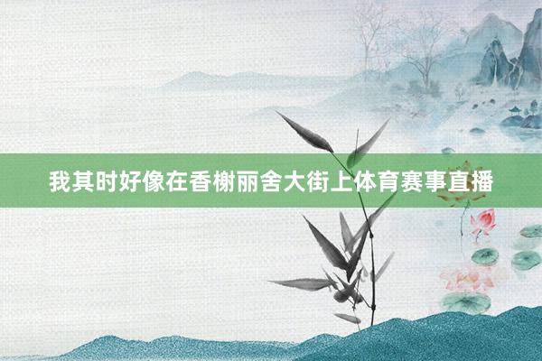 我其时好像在香榭丽舍大街上体育赛事直播