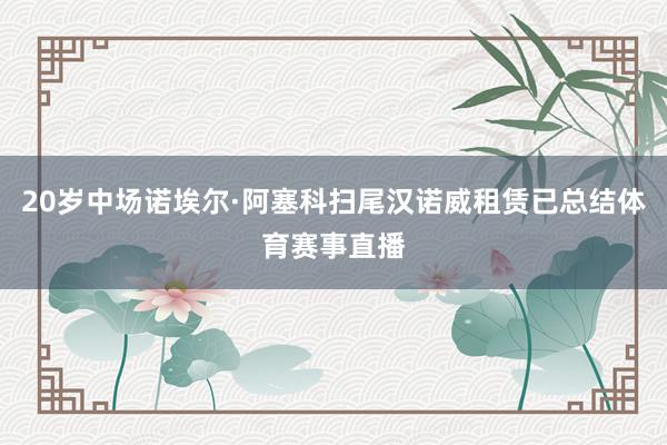 20岁中场诺埃尔·阿塞科扫尾汉诺威租赁已总结体育赛事直播
